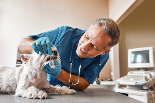 Best Pediatric Emergency Dentist in Coldstream, OH